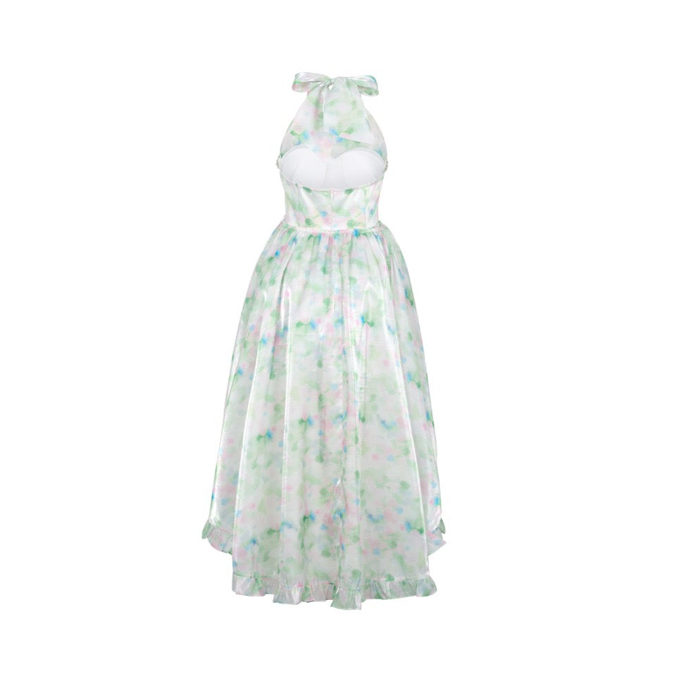 THREE QUARTERS The Wizard of Oz On the Run Princess Dress