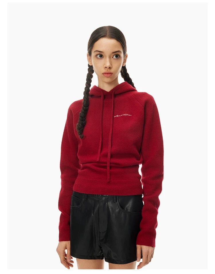 Ann Andelman Burgundy Wool Hooded Sweater