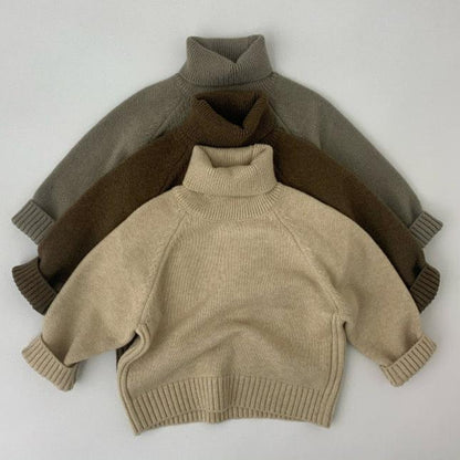 WD Knit Pullover Turtleneck Sweater