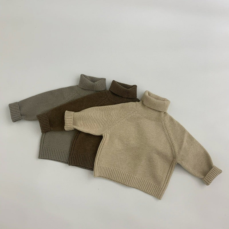 WD Knit Pullover Turtleneck Sweater