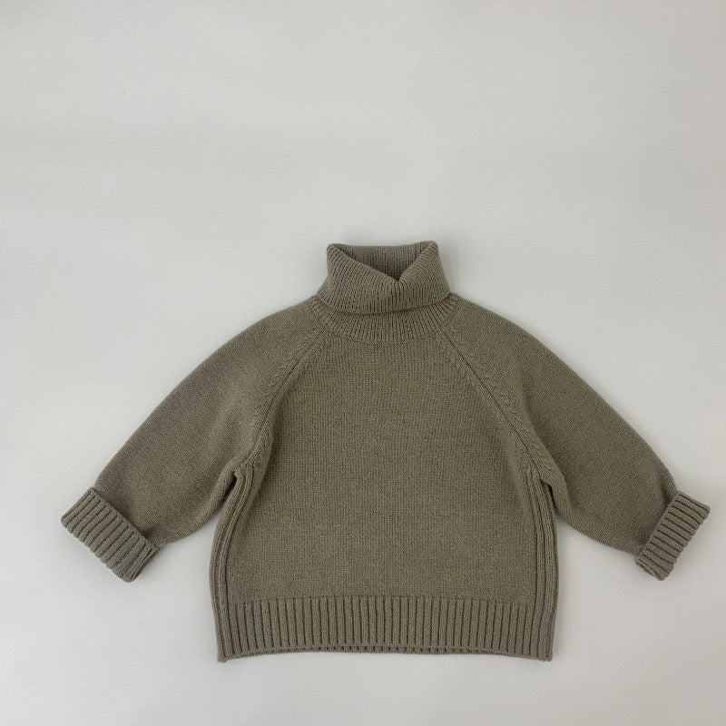 WD Knit Pullover Turtleneck Sweater