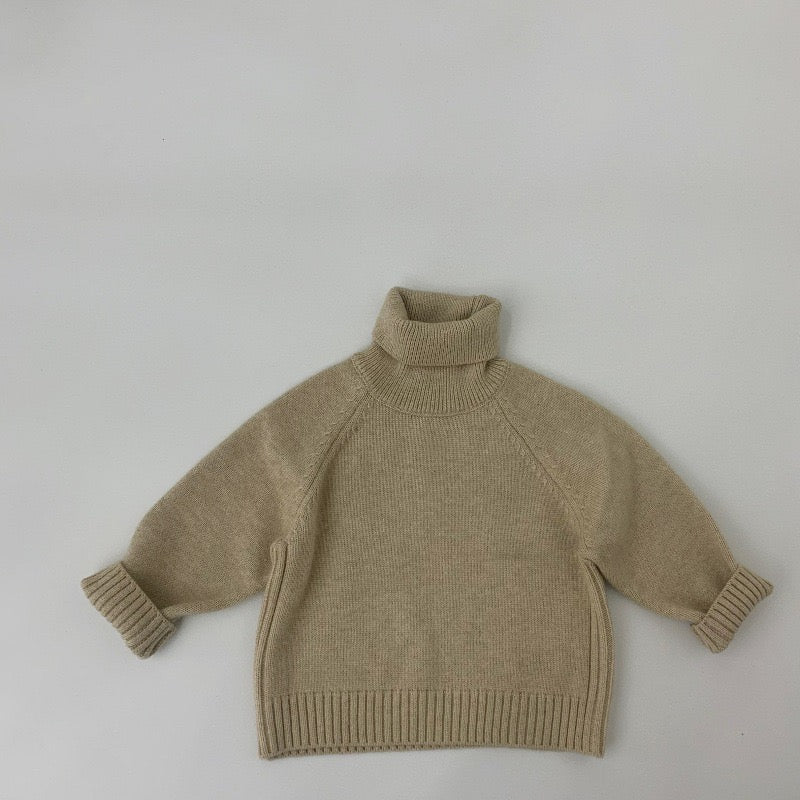 WD Knit Pullover Turtleneck Sweater