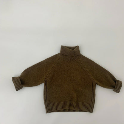 WD Knit Pullover Turtleneck Sweater