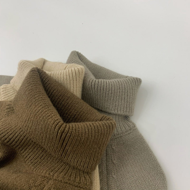 WD Knit Pullover Turtleneck Sweater