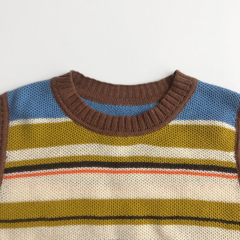 WD Color Blocked Knit Vest