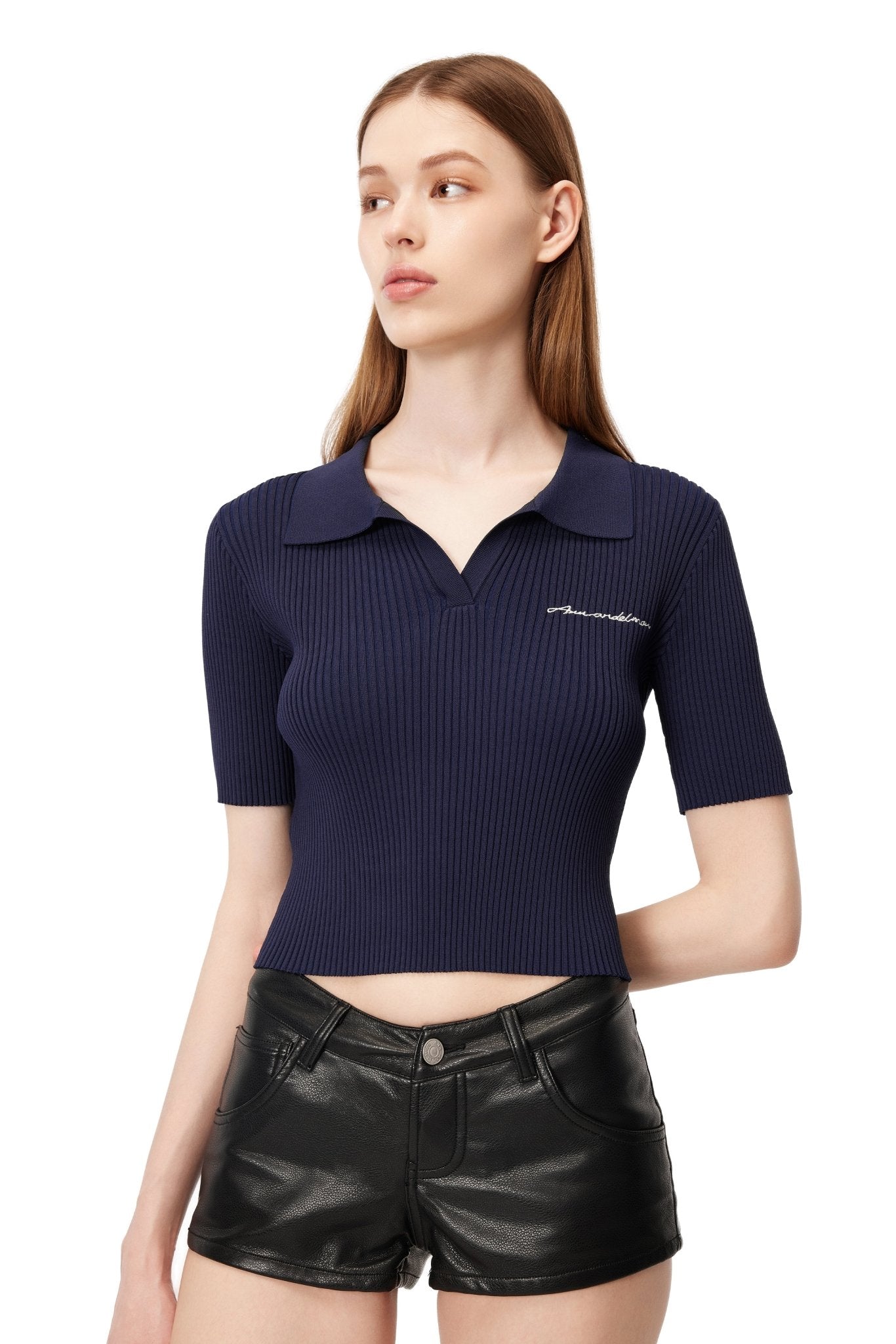 Ann Andelman Blue Polo Shirt