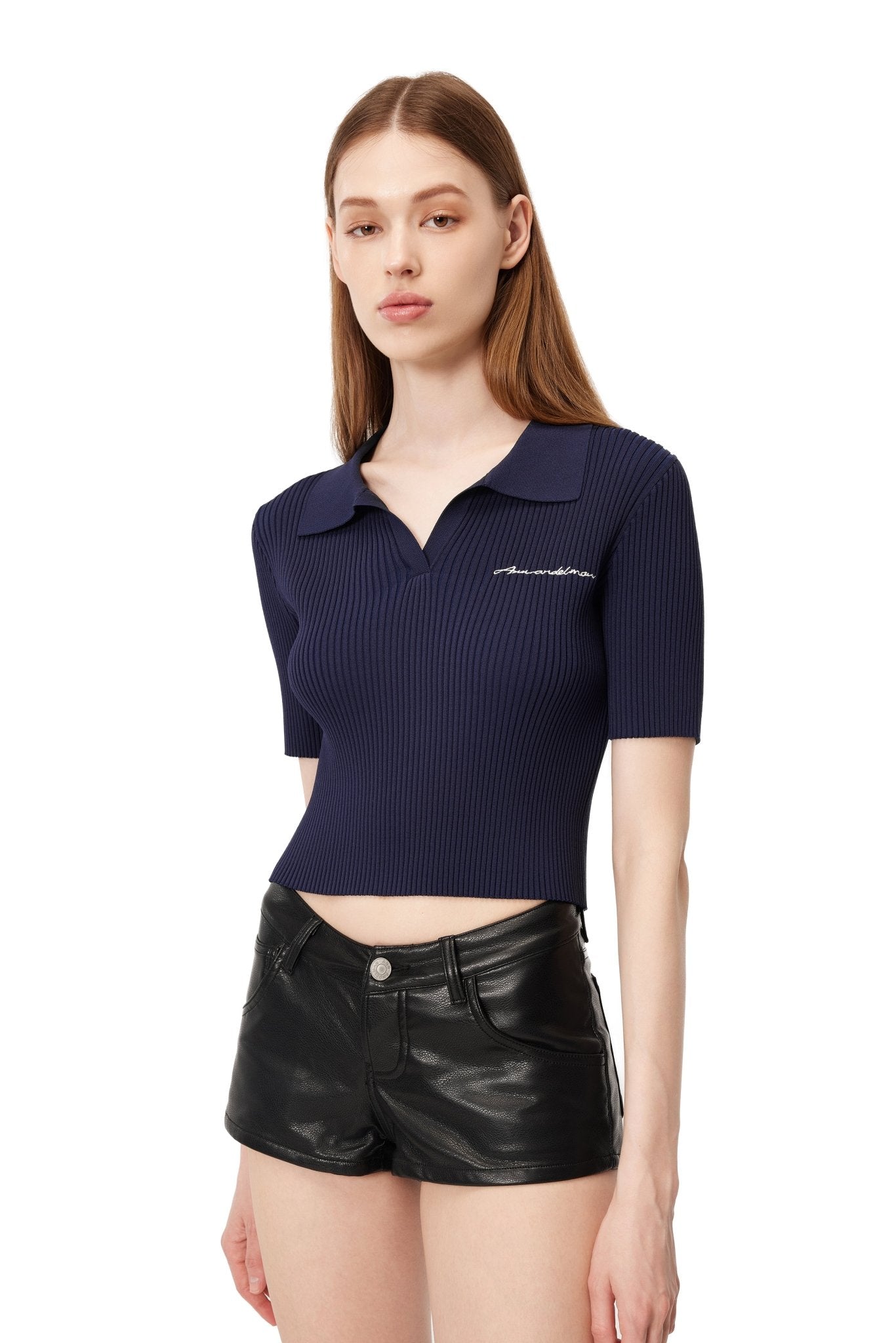 Ann Andelman Blue Polo Shirt